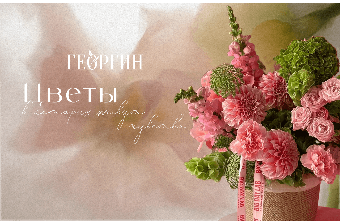 Главное изображение
